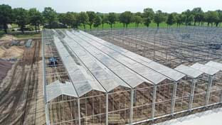 Kwekerij Maarten Bloemen - 9.331 m²