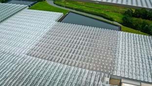Ortolanda - Roof renovation - 6.000 m²