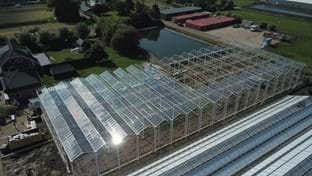 Kwekerij Maron - 10.137 m²