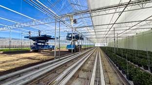 Pico Bello Hortensia - 2.821 m²