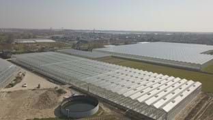 Pippel Bramen - 9.611 m²