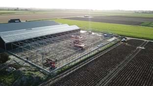 Maliepaard Bloembollen - 2.844 m²