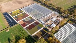 Kwekerij Maarten Bloemen - 9.331 m²