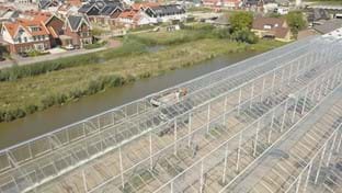 Coert van Dijk Roses - 25.206 m²