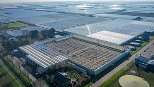 Brabander - Roof renovation - 8.503 m²
