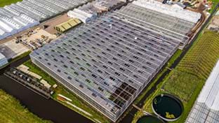 Hoogeveen - 6.025 m²