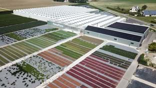 Flevo Flora - 5.755 m²