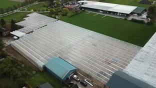 Aleven Boomverzorging - 8.276 m²