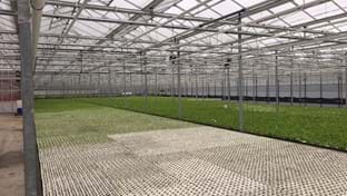 Madestein UK Limited - 5.933 m²