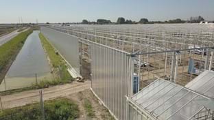 Coert van Dijk Roses - 25.206 m²