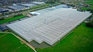 Schenkeveld – Terrassenrenovierung – 98.410 m²