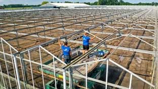 Ortolanda - Terrassenrenovierung - 6.000 m²