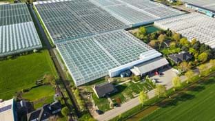 Brabander - 7.296 m²