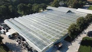 Kwekerij De Stadsweiden - Deck renovation - 4,000 m²
