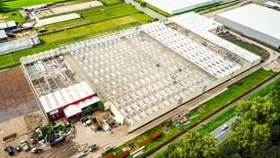 OTM Orchideen - Renovierung des Gewächshauses - 15.702 m²