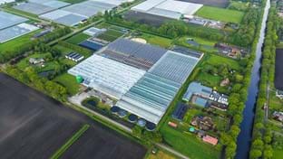 Protium - zonnepanelen - 13.478 m²