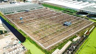 Hoogeveen - 6.025 m²