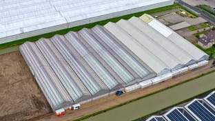 Flower Direct - Phase 2 - 8.354 m²