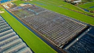 Kwekerij de Noordpoel - 20.232 m²
