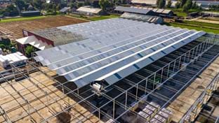 OTM Orchideen - Renovierung des Gewächshauses - 15.702 m²