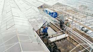 Pépinière de concombres Grubben - rénovation de toiture - 29 736 m²