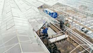 Cucumber nursery Grubben - Roof renovation - 29,736 m²