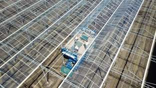 VDA Plant - 7.822 m²