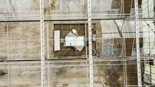 OTM Orchids - Serre renovatie - 15.702 m²