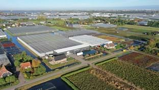 HOVO Plants - 6.048 m²