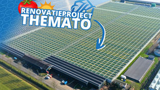 Themato - 2.416 m²