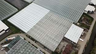 JHL Plants - Phase 2: Business space - 1.035 m²