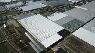 Luiten Kwekerij - Schermhal - 2.706 m²