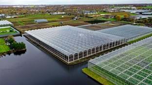 HOVO Plants - 6.048 m²