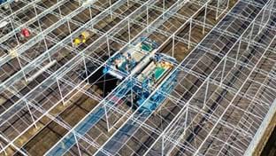 Brabander - 7.296 m²