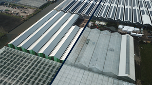 Breedkap dek- en gevelrenovatie - 10.895 m²