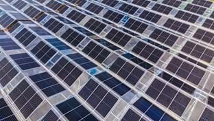 Protium - zonnepanelen - 13.478 m²