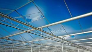 Schenkeveld - Dek renovatie - 98.410 mΒ²