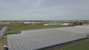 Esperit Plant - 7.729 m²