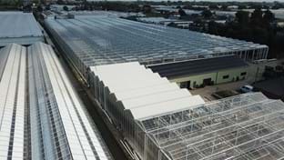 Kwekerij Maron - 10.137 m²