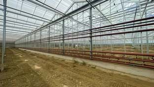 Luiten Kwekerij - Chauffage - 59.025 m²