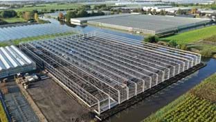 HOVO Plants - 6.048 m²