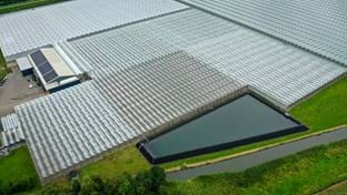 Ortolanda - Terrassenrenovierung - 6.000 m²