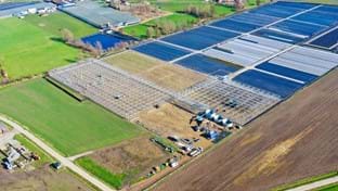 Vanda Flowers - 8.984 m²