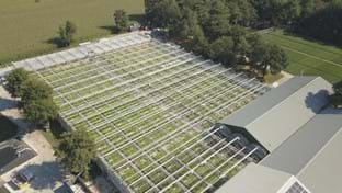 Kwekerij De Stadsweiden - Deck renovation - 4,000 m²