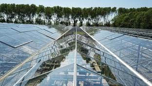 VDA Plant - 7.822 m²