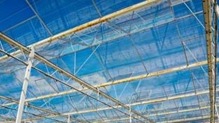 Schenkeveld - Dek renovatie - 98.410 mΒ²