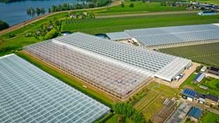 Pippel Bramen - Phase 2 - 7.577 m²