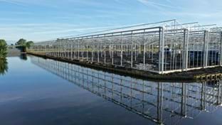 HOVO Plants - 6.048 m²