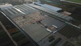 Boomkwekerij Out - 6.189 m²