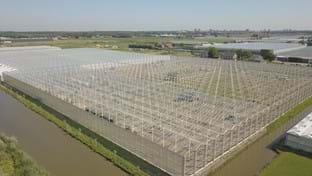 Coert van Dijk Roses - 25.206 m²